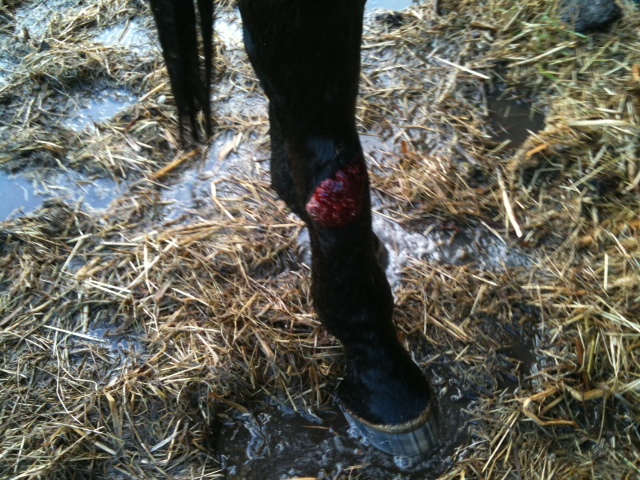 Brandweernederhorst.nl